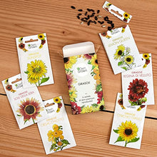 Carica l&#39;immagine nel visualizzatore di Gallery, OwnGrown Set Semi di Girasole - 6 Varietà di Semi di Girasole da Piantare - Semi di Girasole Giganti e Piccoli - Semi da Piantare - Semi per Fiori Alti