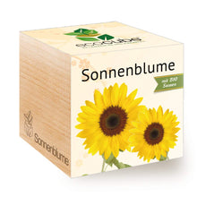 Carica l&#39;immagine nel visualizzatore di Gallery, Feel Green Ecocube Girasole, Certificato Biologico, Idea Regalo sostenibile... - Ilgrandebazar