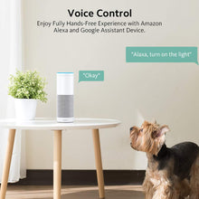 Carica l&#39;immagine nel visualizzatore di Gallery, Presa Intelligente WiFi16A Smart Plug Zoozee Wireless Pack 2