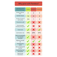 Carica l&#39;immagine nel visualizzatore di Gallery, Panekoo Coltivare il Proprio Kit Bonsai Set Regalo di Giardinaggio - Coltiva... - Ilgrandebazar