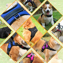 Carica l&#39;immagine nel visualizzatore di Gallery, Musonic Pettorina per Cane, Traspirante, Regolabile, Comodo, L, Viola