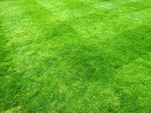 Carica l&#39;immagine nel visualizzatore di Gallery, 1kg Semi di erba da giardino Alta Qualità per 35mq – Crescita rapida e...