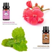 Carica l&#39;immagine nel visualizzatore di Gallery, Lagunamoon Olio Essenziale per Diffusori, 10 Oli Essenziali Aromaterapia Pure - Ilgrandebazar