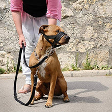 Carica l'immagine nel visualizzatore di Gallery, ILEPARK Museruola per Cane in Nylon, Contro morsi e abbaio, con L, nero
