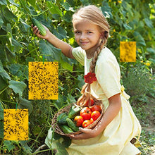 Carica l&#39;immagine nel visualizzatore di Gallery, HellDoler Trappole Appiccicose 50 Pezzi 15cm x 20cm MoscheTrappola 50PCS