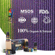 Carica l&#39;immagine nel visualizzatore di Gallery, Oli Essenziali per Diffusori Top 6 Set - Aromaterapia Olio Essenziale... - Ilgrandebazar