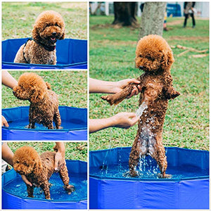 GoPetee Piscina per Cani Pieghevole Rigida Oceano Fuori Terra di L