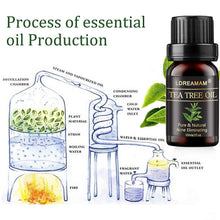 Carica l'immagine nel visualizzatore di Gallery, Olio di Albero del Tè,Tea Tree Essential Oil,Olio Di Tea Tree,Oli 30ML - Ilgrandebazar