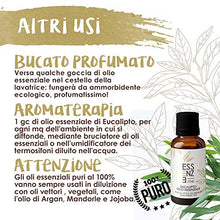 Carica l&#39;immagine nel visualizzatore di Gallery, ESSENZE OLIO ESSENZIALE DI EUCALIPTO Puro al 100% Naturale, Profumo Ambiente... - Ilgrandebazar