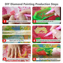 Carica l'immagine nel visualizzatore di Gallery, DCIDBEI DIY Pittura Diamante Kit,Painting by Numbers La Bella e la...