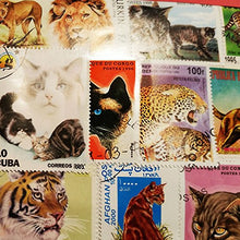 Carica l&#39;immagine nel visualizzatore di Gallery, Worldwide Cats Collection Wild / Lions / Pet 100 Different Stamps!...