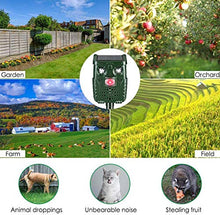 Carica l&#39;immagine nel visualizzatore di Gallery, PewinGo Repellente Gatti, Ultrasuoni Energia Solare Impermeabile... - Ilgrandebazar