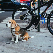 Carica l'immagine nel visualizzatore di Gallery, Set 2 in 1, Guinzaglio per Cani ,1,5 m Strong Dog guinzaglio con Impugnatura... - Ilgrandebazar