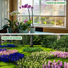 Carica l'immagine nel visualizzatore di Gallery, Gardemia Olio di Neem e Ortica per Piante 750ml Spray Azione Naturale Contro Varie Avversità Straordinarie Proprietà Naturali Macerato Ortica Giardino Alberi Multiuso Alternativa Eco ad Ampio Spettro