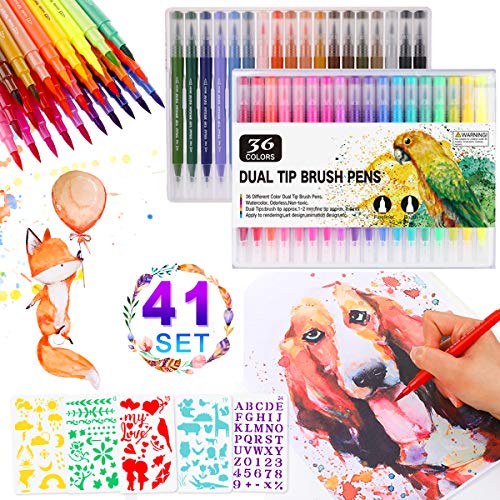 Pennarelli Doppia Punta 36 Colori, Brush Pen Doppio con Fine 36 Colori