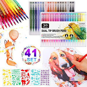 Pennarelli Doppia Punta 36 Colori, Brush Pen Doppio con Fine 36 Colori