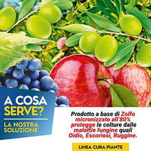 Carica l&#39;immagine nel visualizzatore di Gallery, Albagarden - Zolfo in Polvere bagnabile - Concime Minerale Naturale, Biologico, Pronto da Utilizzare con Fungicida Acaricida Oidio Mal Bianco Peronospora Ticchiolatura per Vite Olivo Agrumi X 1 kg
