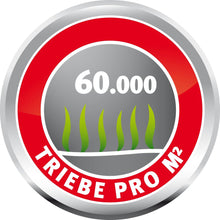 Carica l&#39;immagine nel visualizzatore di Gallery, Wolf Garten Prato Sport e Gioco 55x32x40 cm, Multicolore