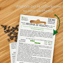 Carica l&#39;immagine nel visualizzatore di Gallery, OwnGrown Set Semi di Girasole - 6 Varietà di Semi di Girasole da Piantare - Semi di Girasole Giganti e Piccoli - Semi da Piantare - Semi per Fiori Alti