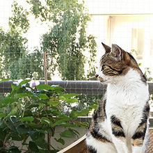Carica l&#39;immagine nel visualizzatore di Gallery, Bella &amp; Balu Rete protettiva per gatti (trasparente | 10x4m) con 10 x 4 m - Ilgrandebazar