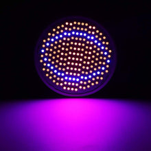 Carica l&#39;immagine nel visualizzatore di Gallery, LED Coltiva la Lampadina, 85~265V 24W E27 200 Pannello Spettro 24w 200led - Ilgrandebazar