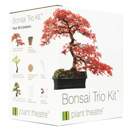 Plant Theatre - Bonsai Trio, Kit per la Coltivazione di 3