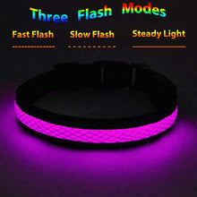 Carica l&#39;immagine nel visualizzatore di Gallery, MASBRILL LED Collare di Cane USB Ricaricabile Sicurezza Lampeggiante Collare di Cane di Base Fibbia Regolabile Mesh Tessitura Fibra Ottica Piatta a Prova di Cane LED Collare Collana per Cane