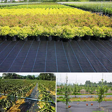 Carica l&#39;immagine nel visualizzatore di Gallery, FIXKIT Tessuto Non Anti Erbacce, 2m x 10m, Peso 100 g/m² Telo 2×10m