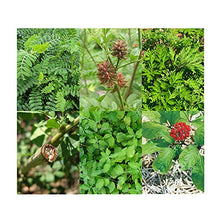 Carica l&#39;immagine nel visualizzatore di Gallery, Magic Garden Seeds Erbe medicinali Cinesi, Set di sementi Regalo con 5... - Ilgrandebazar