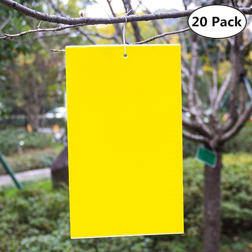 Ecwin 20 Pezzi Trappola per Mosche Trappole Appiccicose Gialle Plant 20 - Ilgrandebazar