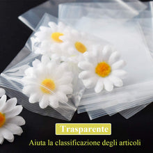 Carica l&#39;immagine nel visualizzatore di Gallery, Gudotra 100pz-12x17cm Sacchetti Plastica Trasparenti Risigillabili con Zip Chiusura a Cerniera Riutilizzabile Spesso Bustine per Alimentari (12x17cm, 100 Pezzi)