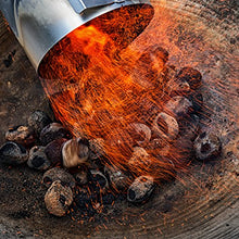 Carica l&#39;immagine nel visualizzatore di Gallery, Bruzzzler 200100001066 Ciminiera di Accensione, 30 x 19.1 x 30.5 cm, Argento