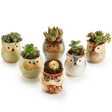 Carica l&#39;immagine nel visualizzatore di Gallery, SUN-E 6.35 cm Gufo vaso ceramica smaltata Base Set Succulente Vaso per... - Ilgrandebazar