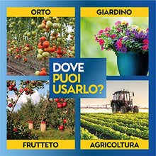 Carica l&#39;immagine nel visualizzatore di Gallery, Albagarden - Diserbante Totale Glifosate Gliphogan Top Erbicida Per Diserbo Erbacce Ad Azione Disseccante Seccatutto Disserbante Per Gramigna A Base di Glifosato Glyphosate Libera Vendita 2 x 500 Ml