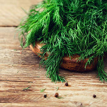Carica l'immagine nel visualizzatore di Gallery, Owngrown - Set Di Semi Di Erbe Semi Da Piantare - 12 Erbe Per Giardino E Cucina . Semi Di Prezzemolo, Erbe Di Provenza, Erbe Italiane, Semi Di Coriandolo, Semi Di Aneto