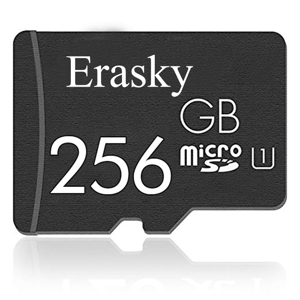 Erasky Scheda di Memoria 256GB Micro SD Memory Card per Fotocamere 256 GB - Ilgrandebazar