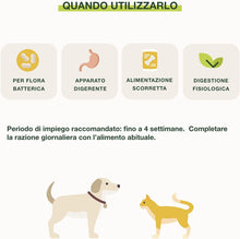 Carica l'immagine nel visualizzatore di Gallery, 1