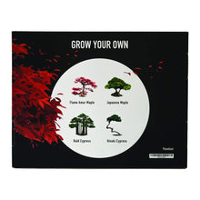 Carica l&#39;immagine nel visualizzatore di Gallery, Panekoo Coltivare il Proprio Kit Bonsai Set Regalo di Giardinaggio - Coltiva... - Ilgrandebazar