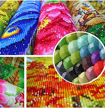Carica l'immagine nel visualizzatore di Gallery, Pittura a mosaico fai da te 5D, pittura con codici numerici,DIY 5D Diamond...