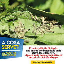 Carica l'immagine nel visualizzatore di Gallery, Albagarden - Bacillus Thuringiensis Kurstaki - Insetticida Piante Biologico Contro Parassiti, Insetti, Larve Dell'orto E Giardino, Polvere x 10 gr