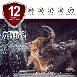 ONMOG Collare antipulci per Gatti – 12 Mesi di Protezione Contro Le zecche –...