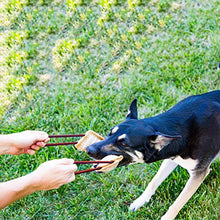Carica l&#39;immagine nel visualizzatore di Gallery, PetGens Dummy per Cani, Massaggiagengive a forma di salsicciotto e rotolo,...