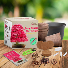 Carica l&#39;immagine nel visualizzatore di Gallery, Coltivare il proprio kit bonsai - Facilmente crescere 4 tipi di alberi...