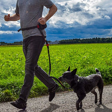 Carica l&#39;immagine nel visualizzatore di Gallery, Guinzaglio mani libere per cani da jogging | Rosso e nero elastico e... - Ilgrandebazar