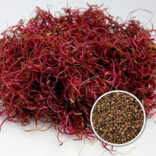 Carica l&#39;immagine nel visualizzatore di Gallery, Nature&#39;s Root Semi di Barbabietola Rossa Bio 250g - Microgreens | - Ilgrandebazar