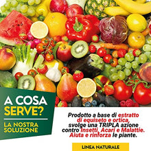 Carica l'immagine nel visualizzatore di Gallery, Albagarden Tripla Azione Naturale - Insetticida - Fungicida - Acaricida Per Piante A Base Di Equiseto E Ortica - Concentrato Biologico X 200 ml