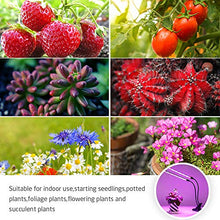 Carica l&#39;immagine nel visualizzatore di Gallery, Lampada per Piante, Directtyteam 36LEDs 18W Pianta Interno Crescita...