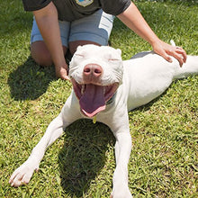Carica l'immagine nel visualizzatore di Gallery, Petpost | Shampoo sbiancante per cani – Il miglior trattamento 237 mL - Ilgrandebazar