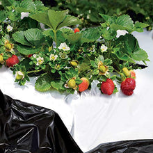 Carica l'immagine nel visualizzatore di Gallery, tenax Black White Cover 1,40x10 m Bianco/Nero, Film Antierbacce per Pacciamatura, Forzante della Maturazione