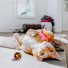 Carica l'immagine nel visualizzatore di Gallery, Giocattoli per Gatti, Gatto Giocattoli Interattivi Gioco per Gattino Kitten Indoor, 16 Pezzi